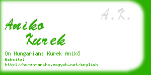 aniko kurek business card